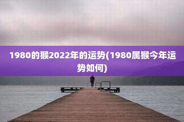 1980的猴2022年的运势(1980属猴今年运势如何)