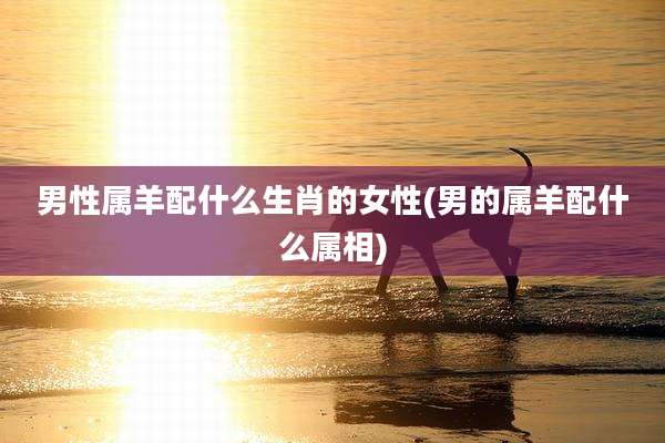 男性属羊配什么生肖的女性(男的属羊配什么属相)