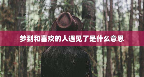 梦到和喜欢的人遇见了是什么意思