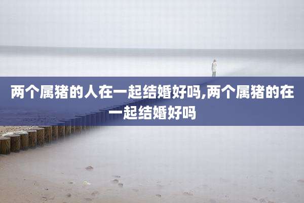 两个属猪的人在一起结婚好吗,两个属猪的在一起结婚好吗