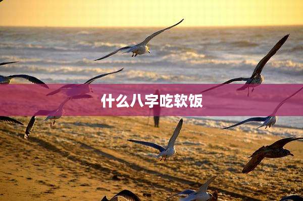 什么八字吃软饭