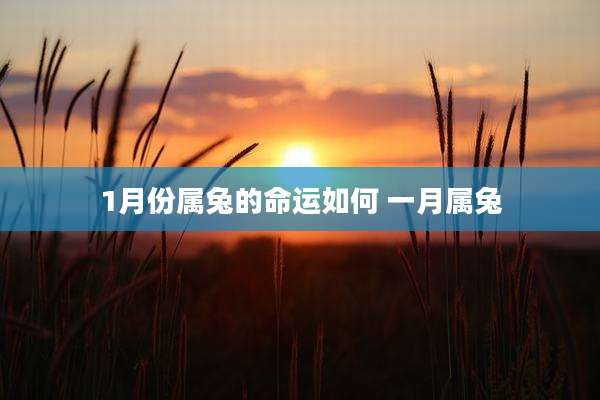 1月份属兔的命运如何 一月属兔