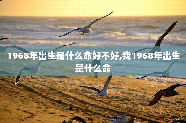 1968年出生是什么命好不好,我1968年出生是什么命