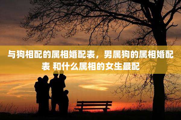 与狗相配的属相婚配表,男属狗的属相婚配表 和什么属相的女生最配