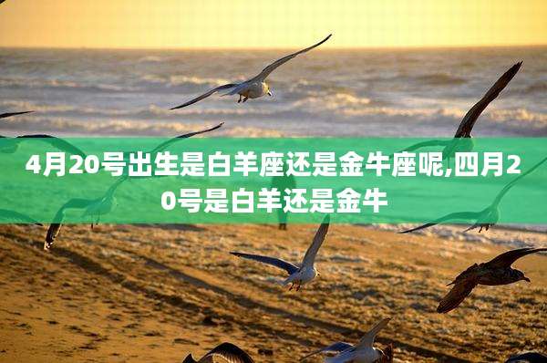 4月20号出生是白羊座还是金牛座呢,四月20号是白羊还是金牛