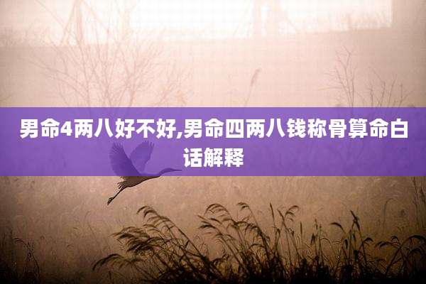 男命4两八好不好,男命四两八钱称骨算命白话解释