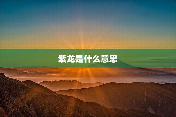 紫龙是什么意思