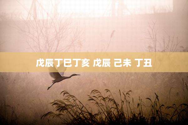 戊辰丁巳丁亥 戊辰 己未 丁丑