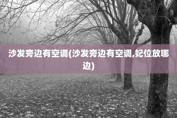 沙发旁边有空调(沙发旁边有空调,妃位放哪边)