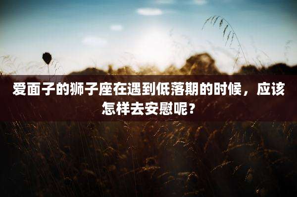 爱面子的狮子座在遇到低落期的时候,应该怎样去安慰呢?