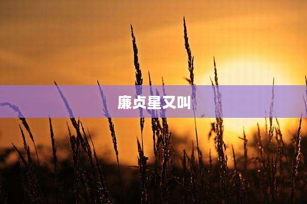 廉贞星又叫
