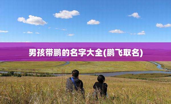 男孩带鹏的名字大全(鹏飞取名)