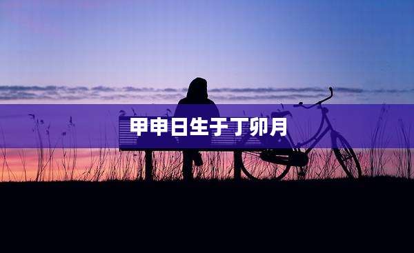 甲申日生于丁卯月