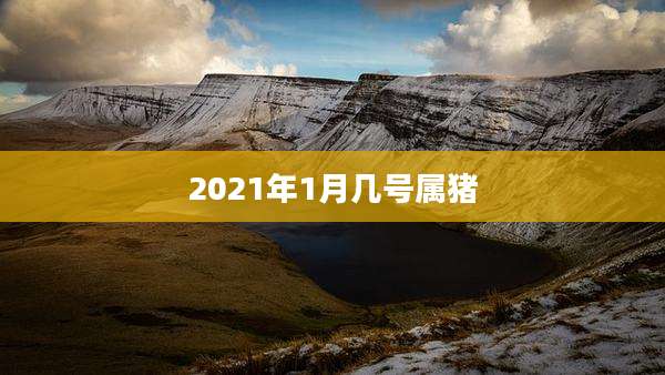 2021年1月几号属猪