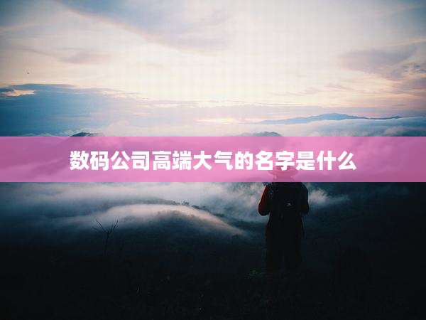 数码公司高端大气的名字是什么