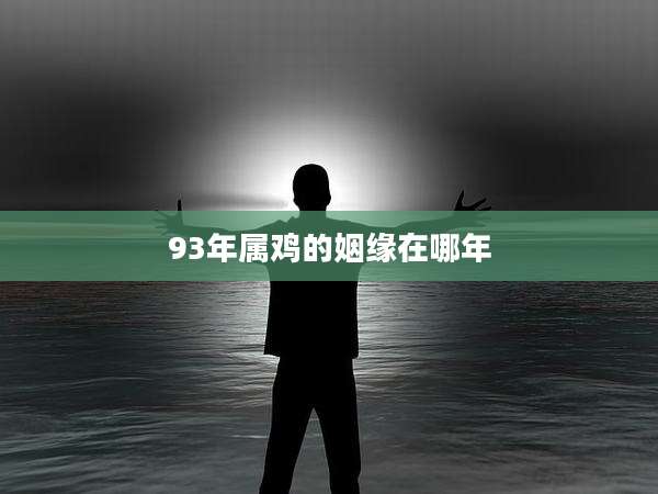 93年属鸡的姻缘在哪年