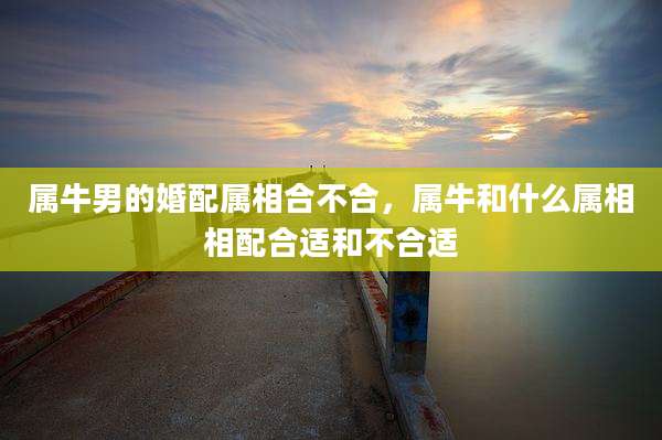 属牛男的婚配属相合不合,属牛和什么属相相配合适和不合适