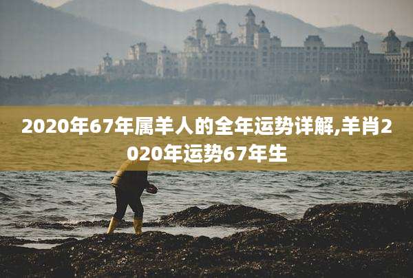 2020年67年属羊人的全年运势详解,羊肖2020年运势67年生