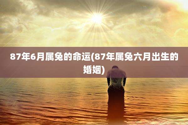 87年6月属兔的命运(87年属兔六月出生的婚姻)