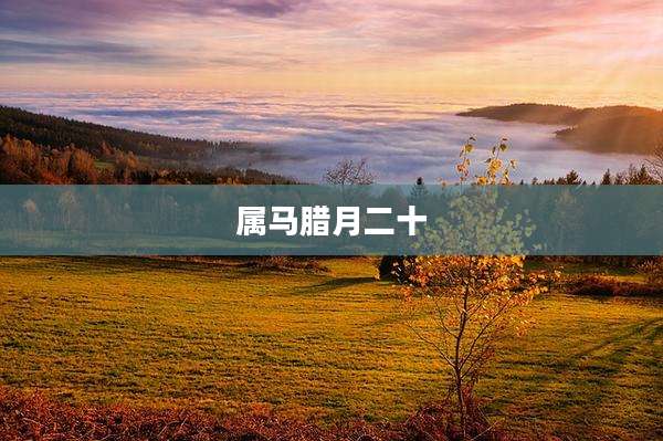 属马腊月二十