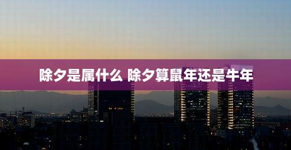 除夕是属什么 除夕算鼠年还是牛年