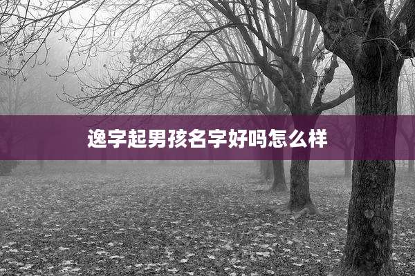 逸字起男孩名字好吗怎么样