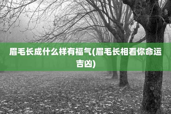 眉毛长成什么样有福气(眉毛长相看你命运吉凶)