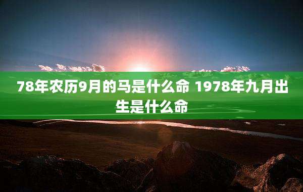 78年农历9月的马是什么命 1978年九月出生是什么命