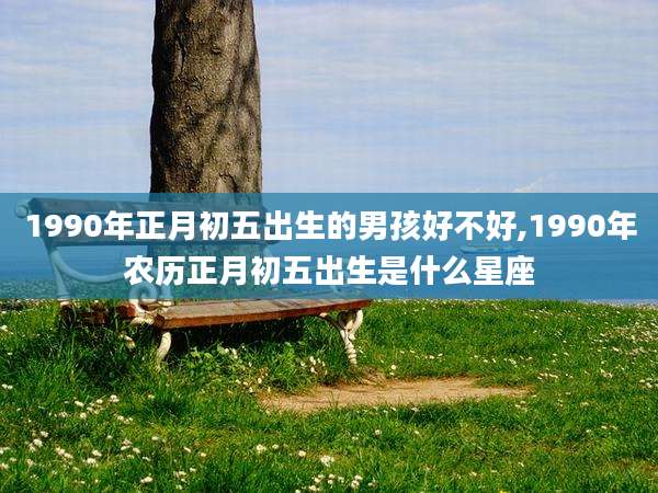 1990年正月初五出生的男孩好不好,1990年农历正月初五出生是什么星座