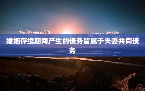 婚姻存续期间产生的债务皆属于夫妻共同债务