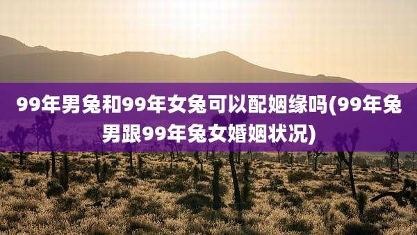 99年男兔和99年女兔可以配姻缘吗(99年兔男跟99年兔女婚姻状况)