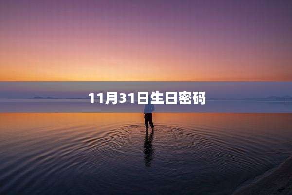 11月31日生日密码
