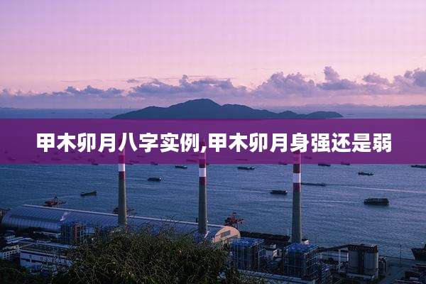 甲木卯月八字实例,甲木卯月身强还是弱