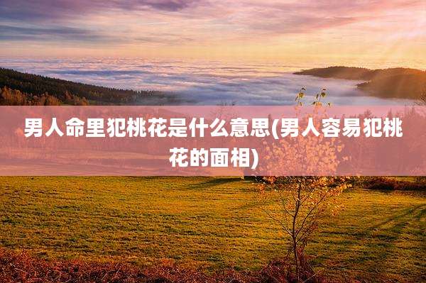 男人命里犯桃花是什么意思(男人容易犯桃花的面相)