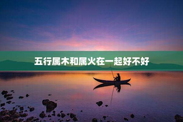 五行属木和属火在一起好不好