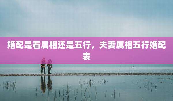 婚配是看属相还是五行，夫妻属相五行婚配表