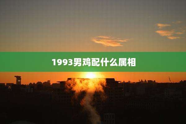 1993男鸡配什么属相