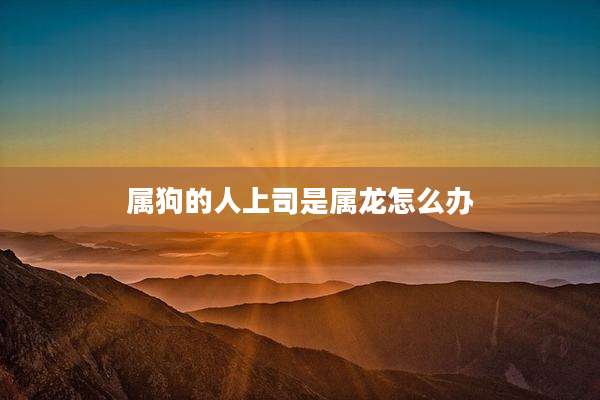 属狗的人上司是属龙怎么办