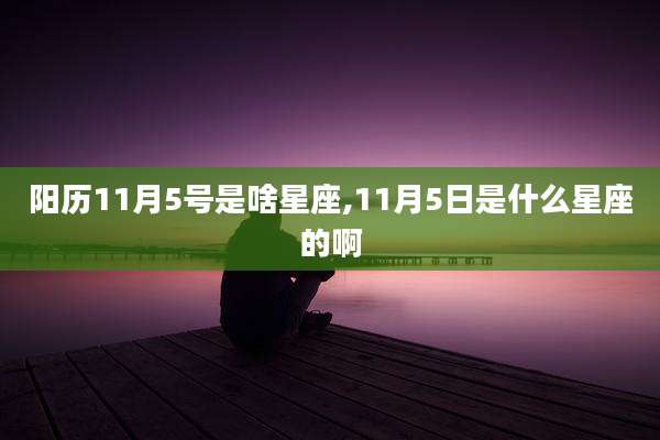阳历11月5号是啥星座,11月5日是什么星座的啊