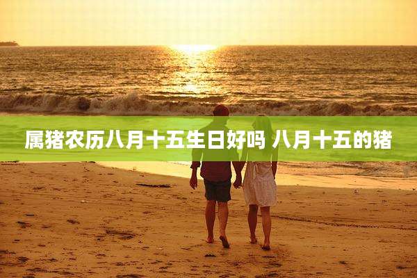 属猪农历八月十五生日好吗 八月十五的猪