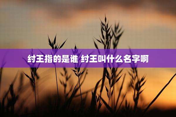 纣王指的是谁 纣王叫什么名字啊