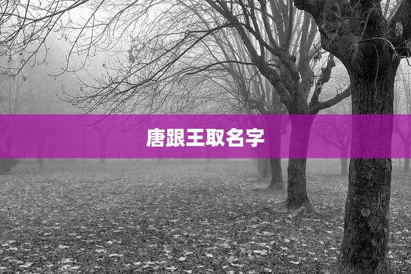唐跟王取名字
