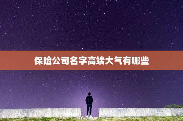 保险公司名字高端大气有哪些
