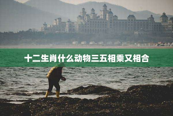 十二生肖什么动物三五相乘又相合