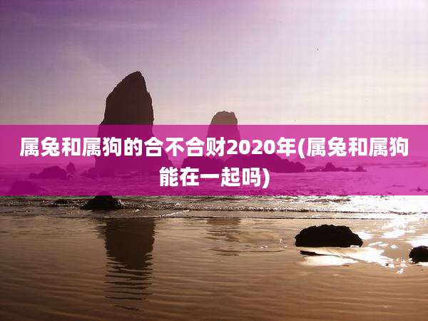 属兔和属狗的合不合财2020年(属兔和属狗能在一起吗)