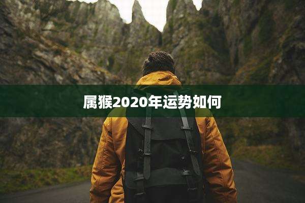 属猴2020年运势如何