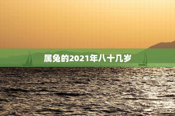属兔的2021年八十几岁