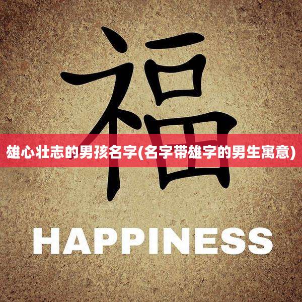 雄心壮志的男孩名字(名字带雄字的男生寓意)