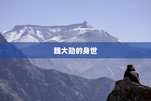 魏大勋的身世