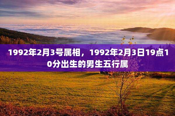 1992年2月3号属相，1992年2月3日19点10分出生的男生五行属